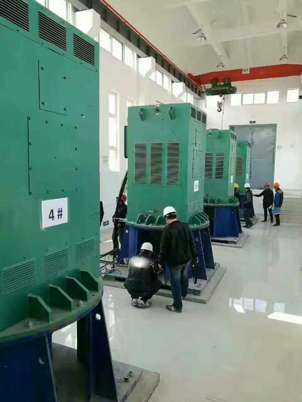 沭阳某污水处理厂使用我厂的立式高压电机安装现场